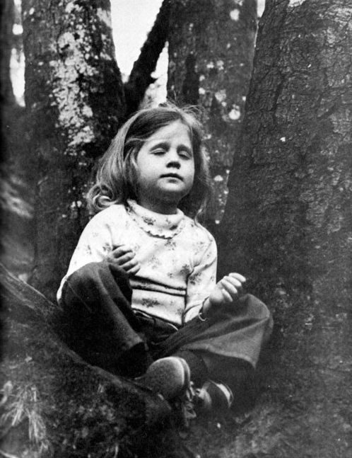 infancia arriba de un árbol, blanco y negro